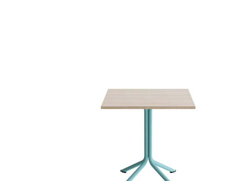 Atlas Bord 1133 - Hvidpigmenteret Eg med Turkis Understel